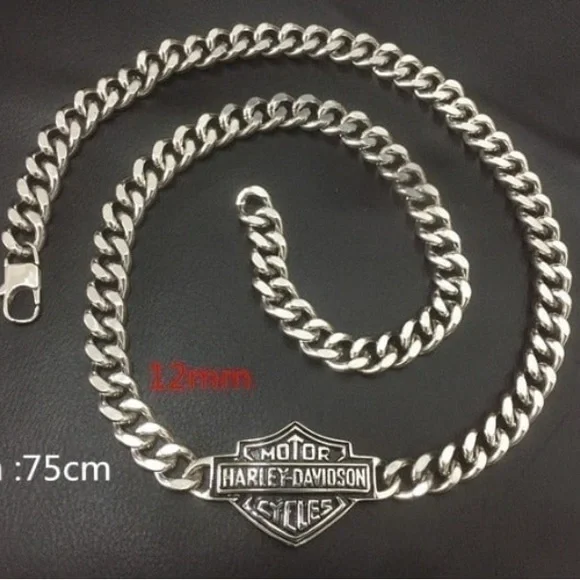 - Harley Big Chain, Jewelry for Men, BFF, HD - Picture 3 of 4